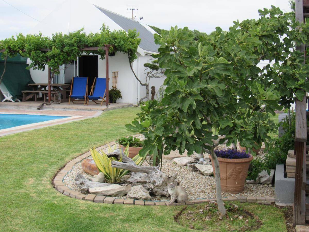 Omega Suite Gansbaai Exteriér fotografie